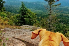 Podrick enjoying the view from Hurricane Mountain
