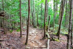 Podrick on Trail hiking Hurricane Mountain